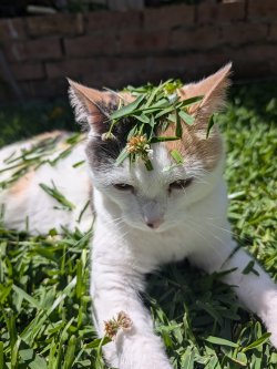 1000022625.jpg 1000022625.jpg