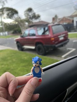 IMG_4030.jpeg IMG_4030.jpeg