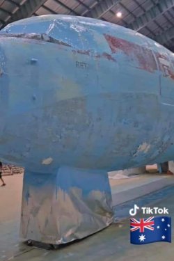 1000013661.jpg 1000013661.jpg