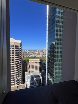 IMG_4427.jpg IMG_4427.jpg