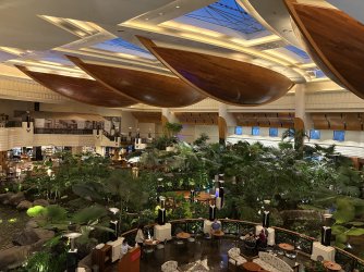 IMG_7298.jpeg IMG_7298.jpeg