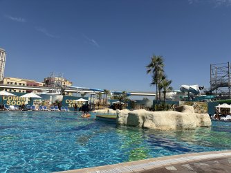 IMG_7291.jpeg IMG_7291.jpeg