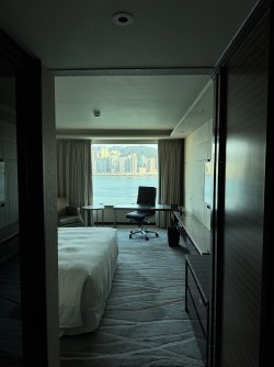 IMG_2837.jpeg IMG_2837.jpeg