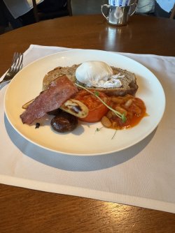 IMG_3031.jpeg IMG_3031.jpeg