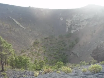 img_3_1731032372316.webp img_3_1731032372316.webp