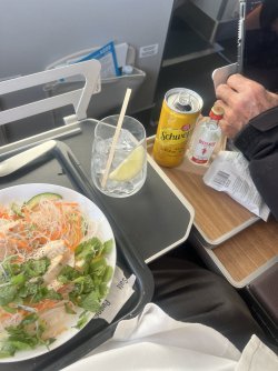 IMG_8718.jpeg IMG_8718.jpeg