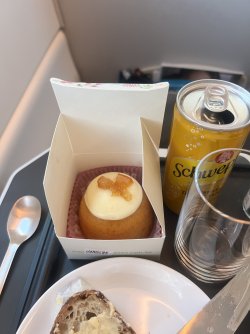 IMG_8722.jpeg IMG_8722.jpeg