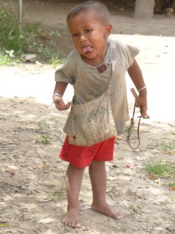 P1000931.JPG P1000931.JPG