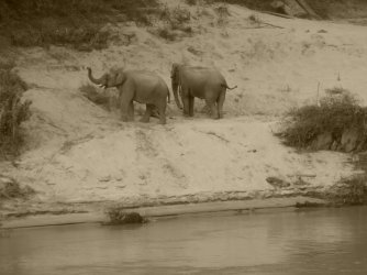 P1000979.JPG P1000979.JPG