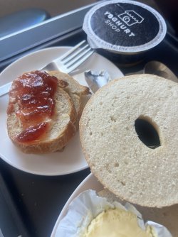 IMG_1445.jpeg IMG_1445.jpeg