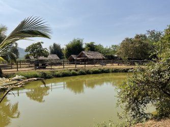 IMG_1234.jpeg IMG_1234.jpeg