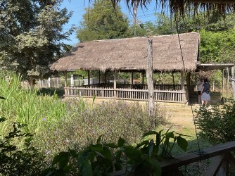 IMG_1237.jpeg IMG_1237.jpeg