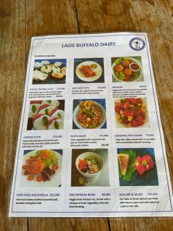 IMG_1240.jpeg IMG_1240.jpeg