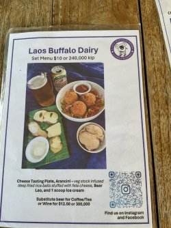 IMG_1241.jpeg IMG_1241.jpeg