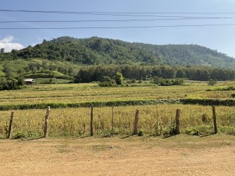 IMG_1250.jpeg IMG_1250.jpeg