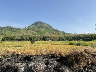 IMG_1263.jpeg IMG_1263.jpeg