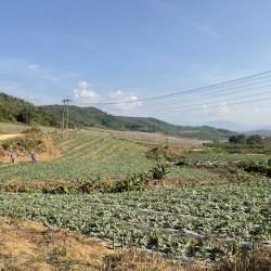 IMG_1269.jpeg IMG_1269.jpeg