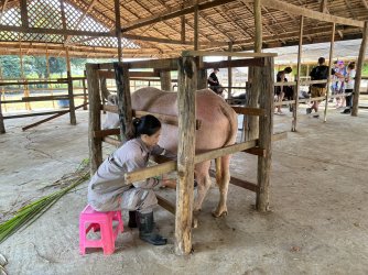 IMG_0960.jpg IMG_0960.jpg