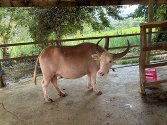 IMG_0967.jpg IMG_0967.jpg