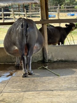 IMG_0966.jpg IMG_0966.jpg