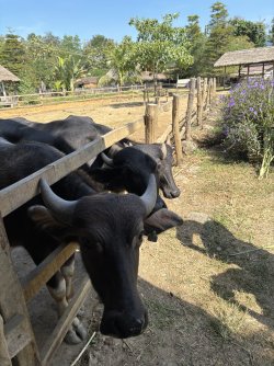 IMG_0958.jpg IMG_0958.jpg