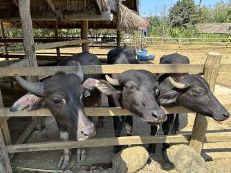 IMG_0959.jpg IMG_0959.jpg