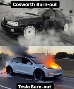 IMG_1335.jpeg IMG_1335.jpeg