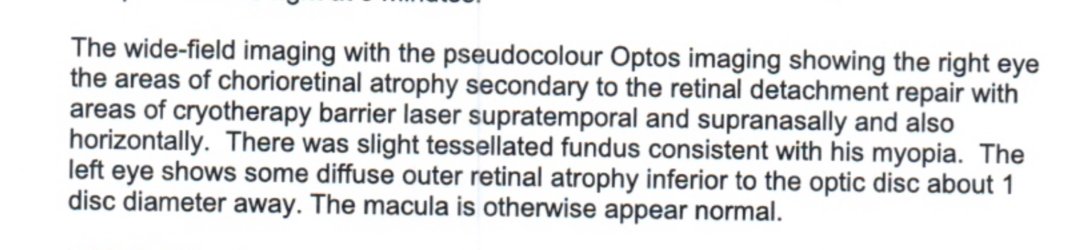 IMG_6020.jpeg IMG_6020.jpeg