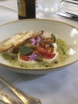 IMG_1538.jpeg IMG_1538.jpeg