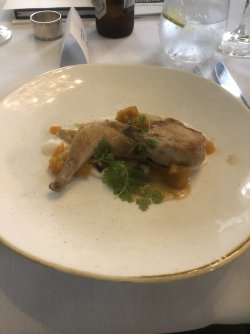 IMG_1539.jpeg IMG_1539.jpeg