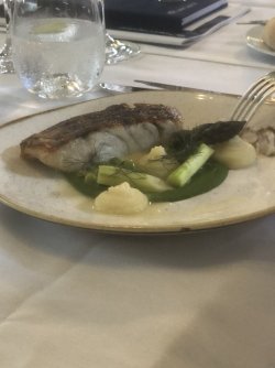 IMG_1541.jpeg IMG_1541.jpeg