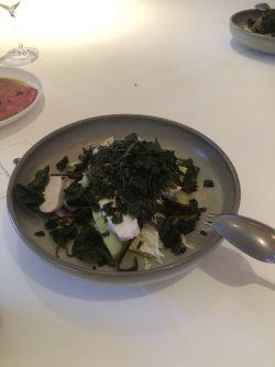 IMG_1418.jpeg IMG_1418.jpeg