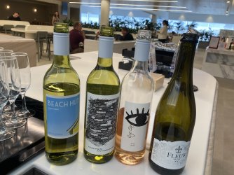 IMG_7349.jpeg IMG_7349.jpeg