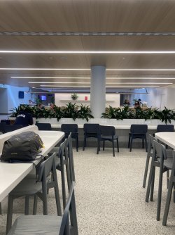 IMG_7351.jpeg IMG_7351.jpeg