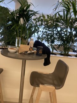 IMG_7359.jpeg IMG_7359.jpeg