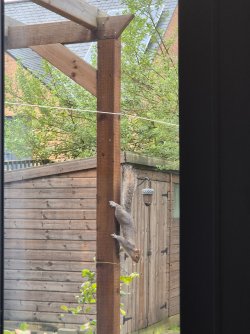 20241116_083640.jpg 20241116_083640.jpg