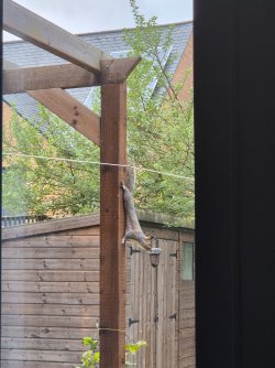 20241116_083639.jpg 20241116_083639.jpg