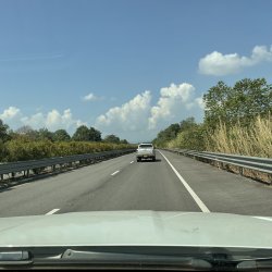 IMG_1496.jpeg IMG_1496.jpeg