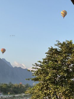 IMG_1516.jpeg IMG_1516.jpeg