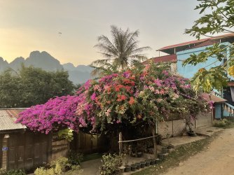 IMG_1518.jpeg IMG_1518.jpeg