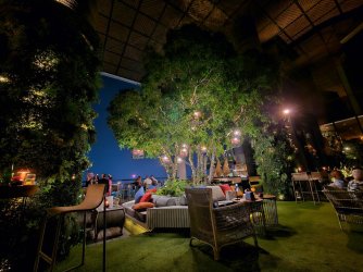 20241102_185808.jpg_compressed.JPEG 20241102_185808.jpg_compressed.JPEG