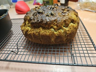 1731899394746.jpeg 1731899394746.jpeg