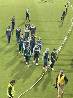 IMG_7609.jpeg IMG_7609.jpeg