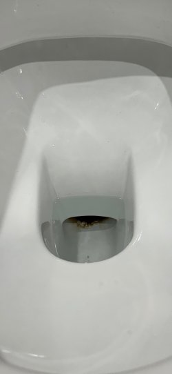 IMG_6088.jpeg IMG_6088.jpeg