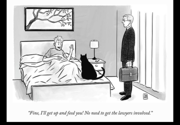 IMG_4125.PNG IMG_4125.PNG