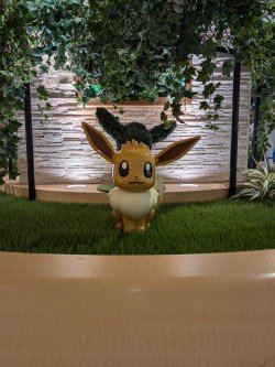 PXL_20241120_014908863.MP.jpg PXL_20241120_014908863.MP.jpg