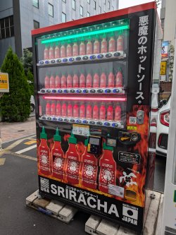 PXL_20241120_025251448.jpg PXL_20241120_025251448.jpg