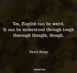 IMG_6216.jpeg IMG_6216.jpeg