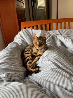 IMG_1640.jpeg IMG_1640.jpeg