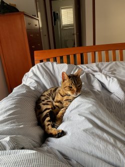 IMG_1641.jpeg IMG_1641.jpeg